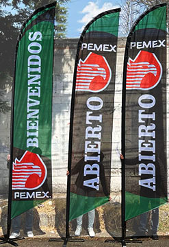 pemex web